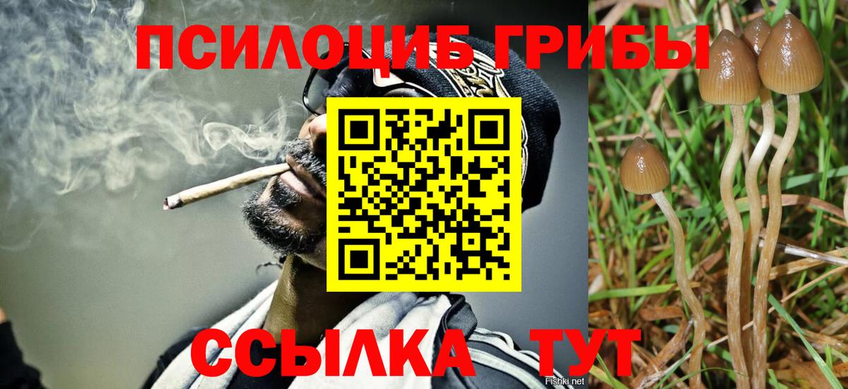 Галлюциногенные грибы Psilocybine cubensis  Вход с VPN  даркнет сайт  Псилоцибиновые грибы Cubensis  Тамбов 