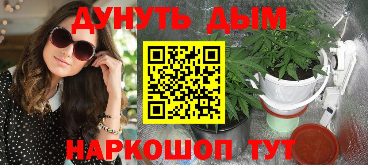 Шишки марихуана Amnesia  Каннабис план  Марихуана Bruce Banner  Тамбов  Вход с VPN 